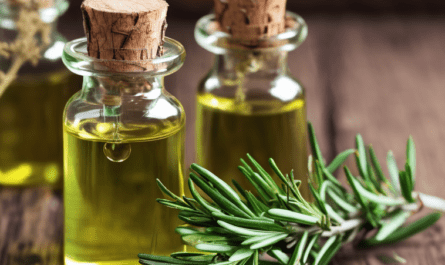 Benefits of Rosemary Oil