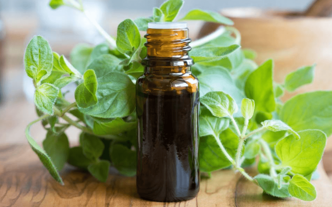 Oregano Oil Under the Tongue