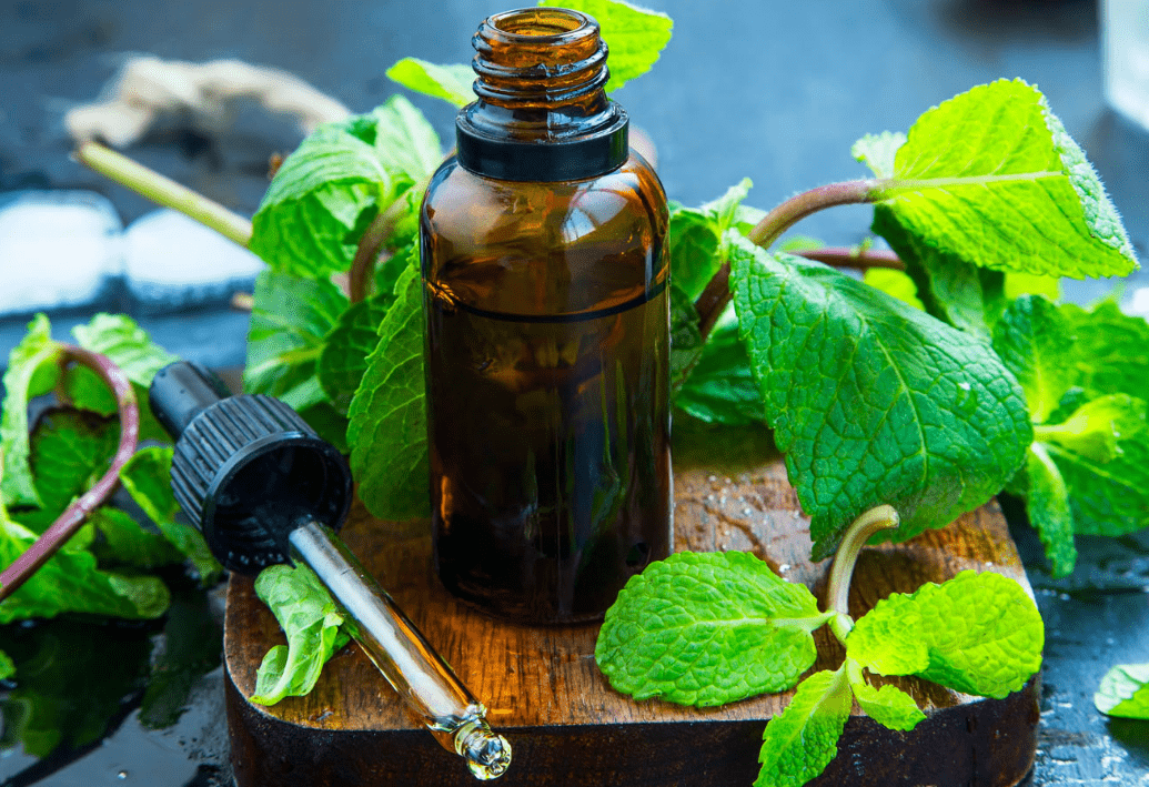 Peppermint Oil Benefits and Uses