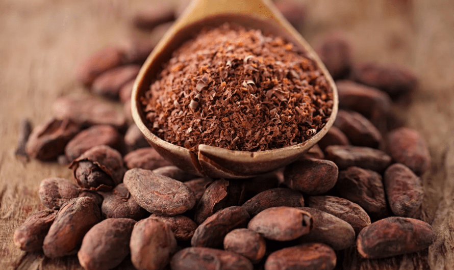 Cocoa Powder:16 Amazing Health Benefits and Recipes