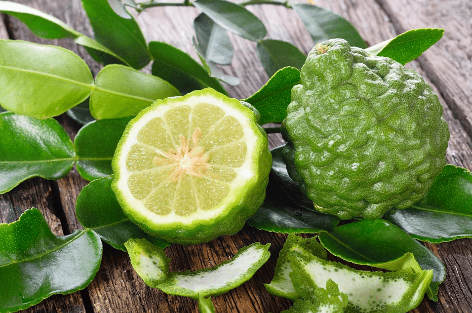 What Does Bergamot Smell Like