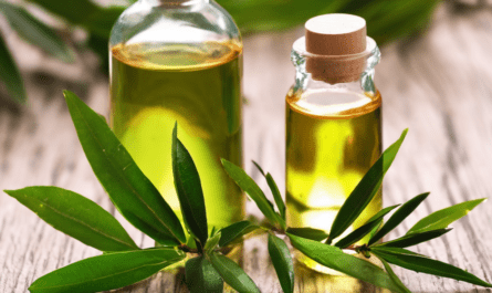 Tea Tree Oil Benefits