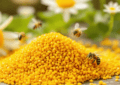 Bee Pollen