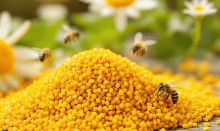 Bee Pollen