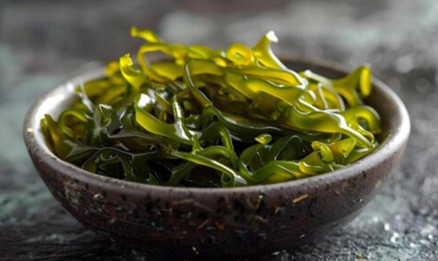 16 Benefits Of Bladderwrack and Potential Side Effects