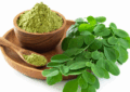 Benefits of Moringa Oleifera