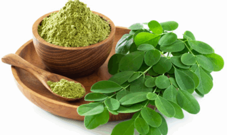 Benefits of Moringa Oleifera