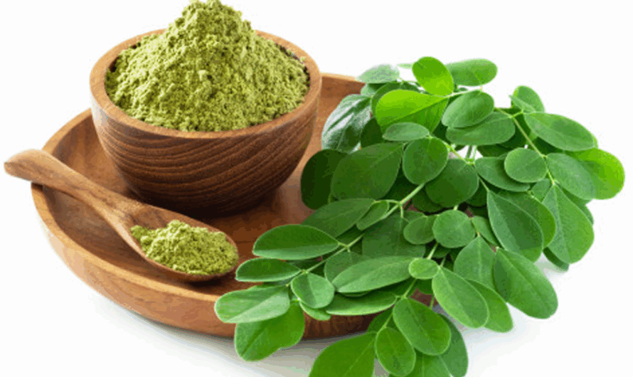 Moringa oleifera: 16 Benefits and How to Use it Effectively