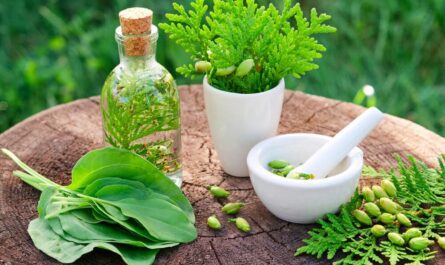 Organic Herbs for Digestive Health