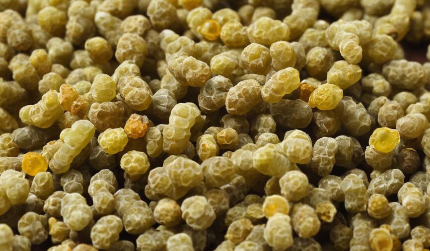 How to Take Boswellia