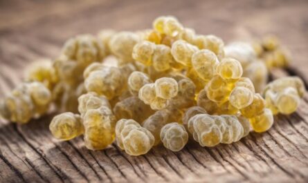 What is Boswellia