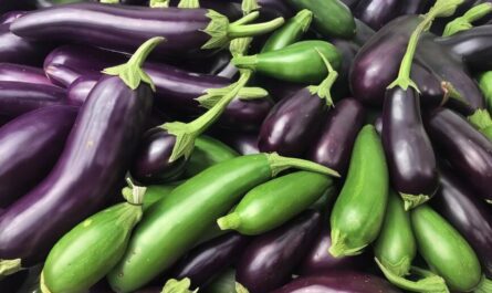 What is Eggplant