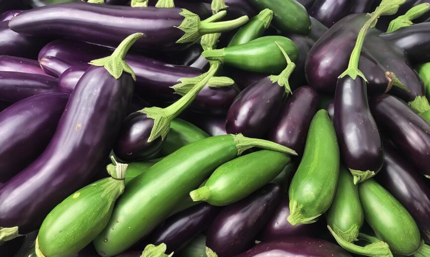 What is Eggplant