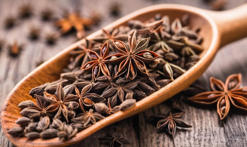 Benefits of Anise Seeds