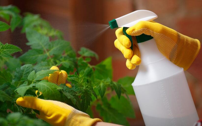 Liquid Insecticide Treatments