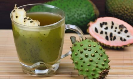 Soursop Tea Benefits