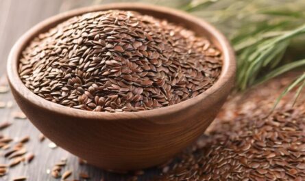 What Are Flax Seeds