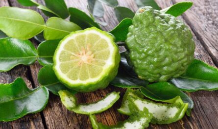 What Is Bergamot
