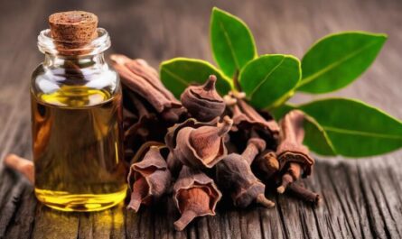 What Is Clove Oil