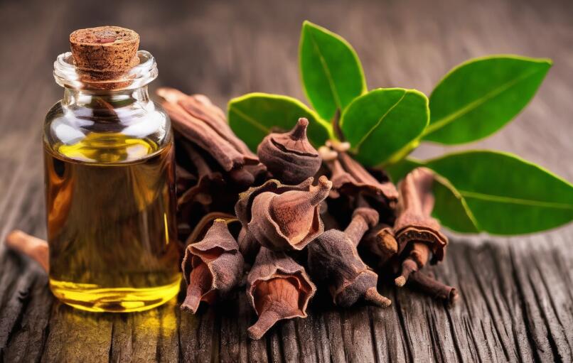 What Is Clove Oil