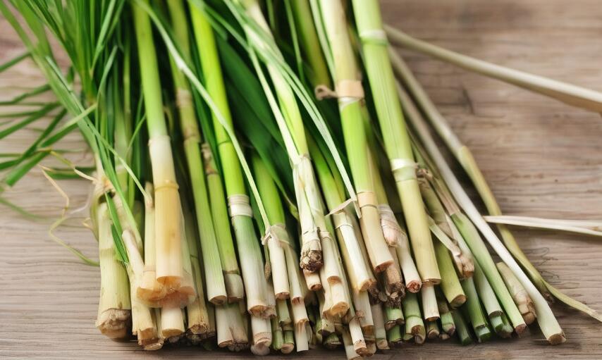 What Is Lemongrass