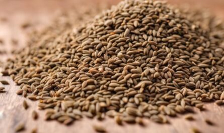 What are Ajwain Seeds