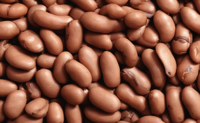 Benefits of Pinto Beans