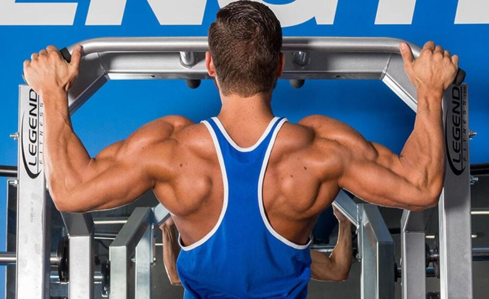 Best Upper Body Exercises and Workout for Muscle