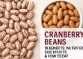 Cranberry Beans