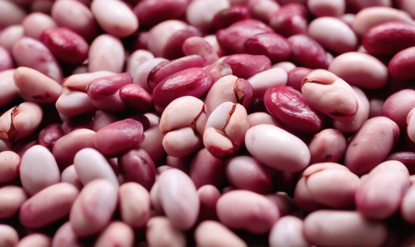 Fresh Cranberry Beans