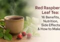 Red Raspberry Leaf Tea