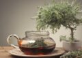 Wormwood Tea