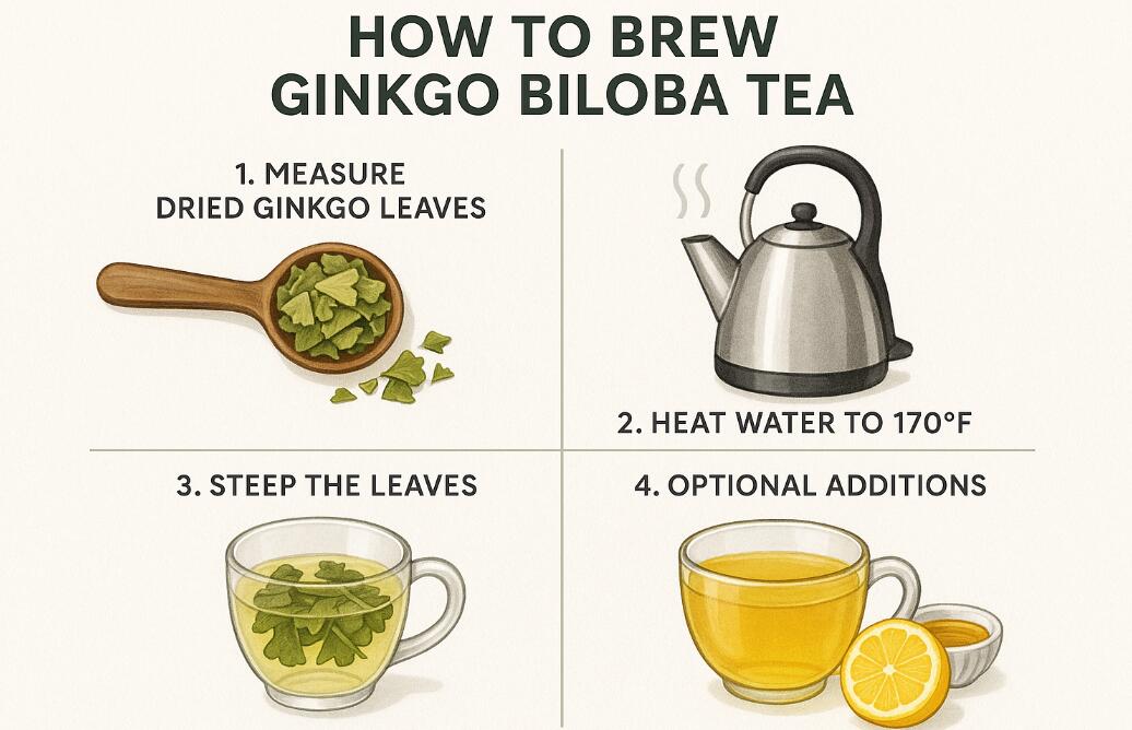 make Ginkgo Biloba Tea