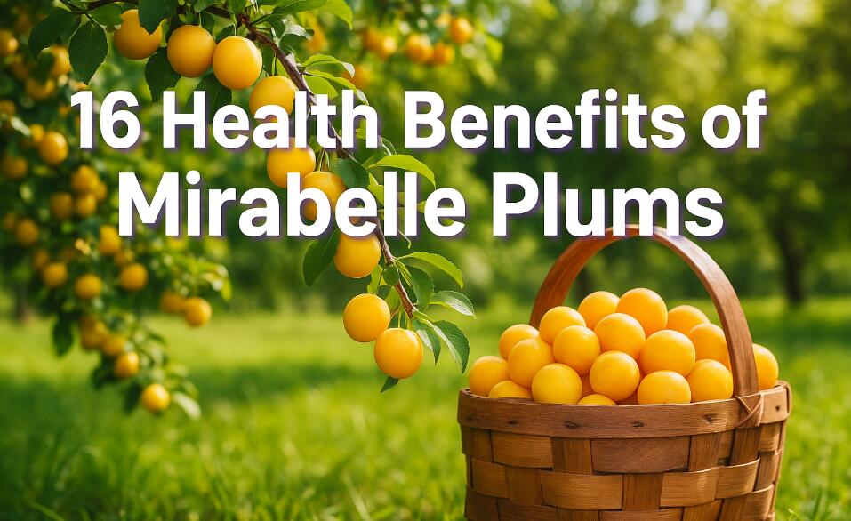 Benefits of Mirabelle Plums