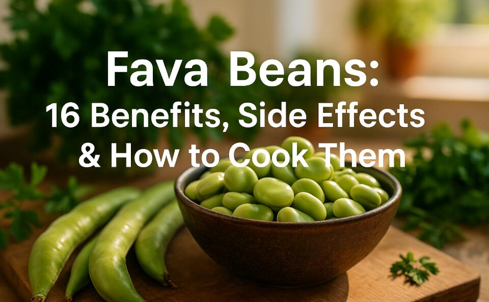 Fava Beans