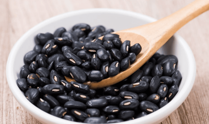 How to Cook Black Beans Perfectly:10 Best Recipes