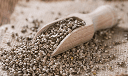 Hemp Seeds
