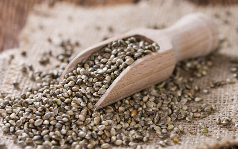 16 Amazing Benefits of Hemp Seeds and How to Eat it Hemp Seeds