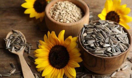 Sunflower Seeds