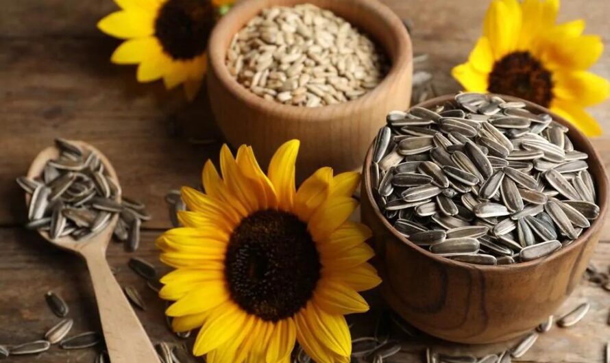 Sunflower Seeds:16 Benefits, Side Effects and How to Eat it