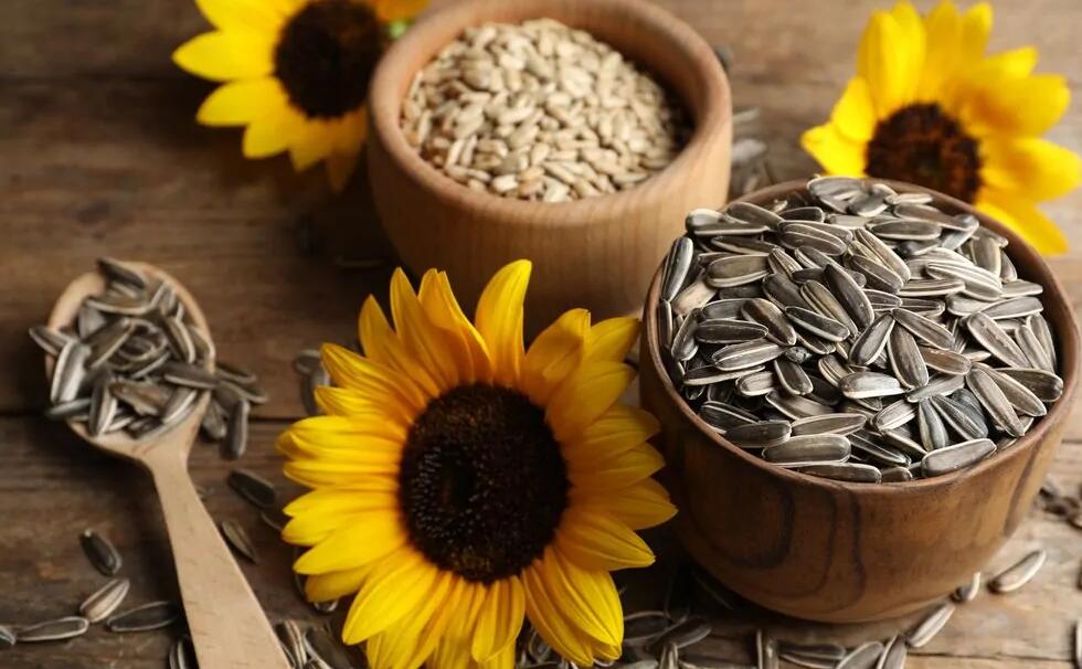 Sunflower Seeds