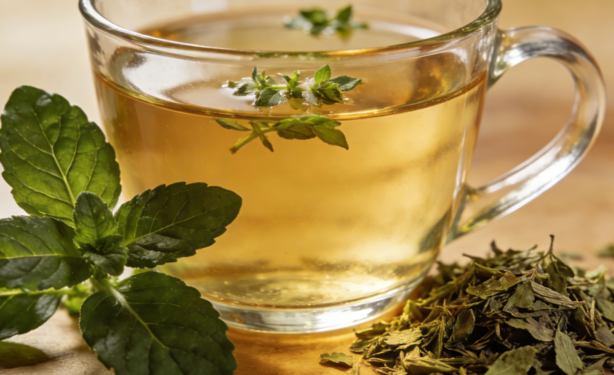 Benefits of Oregano Tea