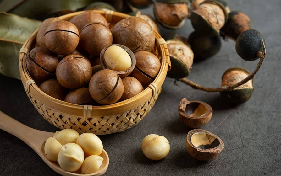 Macadamia Nuts