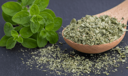 Oregano