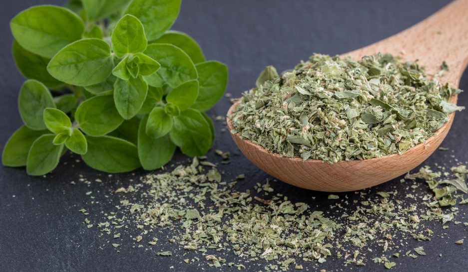 Oregano