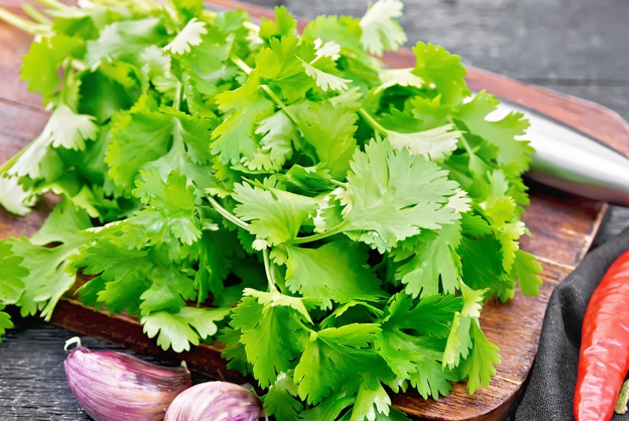 Benefits of Cilantro