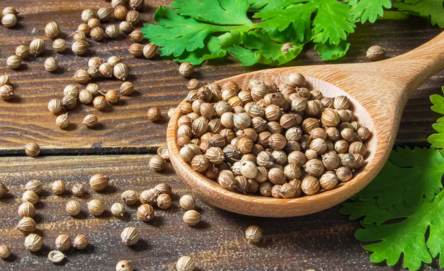 Benefits of Coriander Seeds