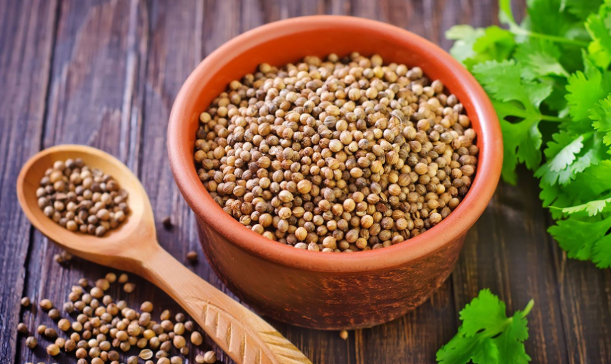 Coriander Seeds:16 Benefits, Nutrition, Side Effects & How to Eat It