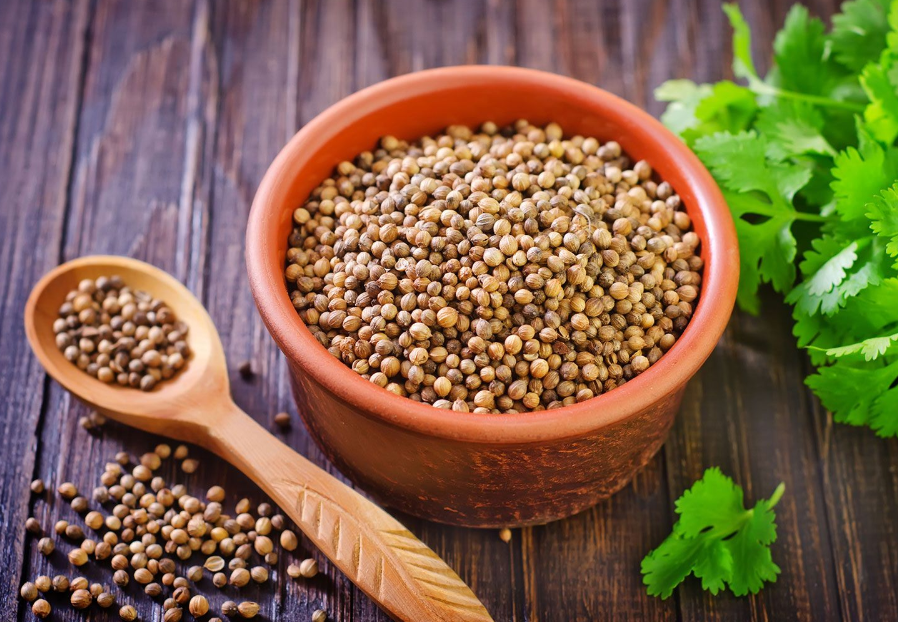 Coriander Seeds