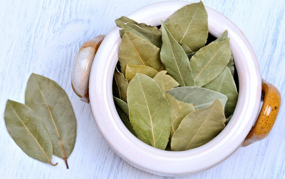 Health Benefits of Bay Leaf